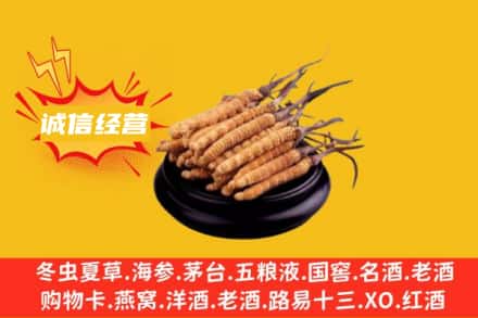 眉山回收冬虫夏草